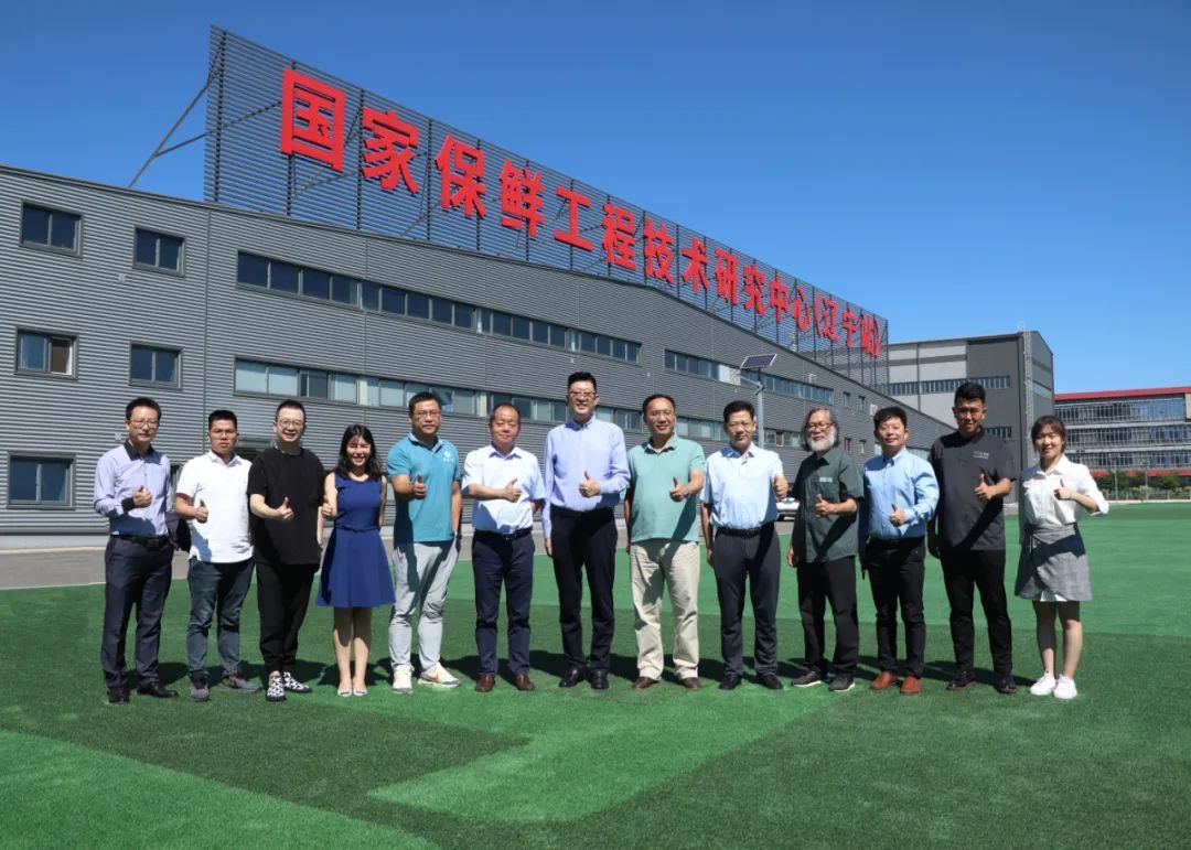 Enfoque en la creación de marca Liaoning Dongsheng Technology Group Co., Ltd....